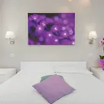 Residenza Maxima 3*